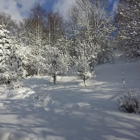 Hébergement de vacances Near Lift